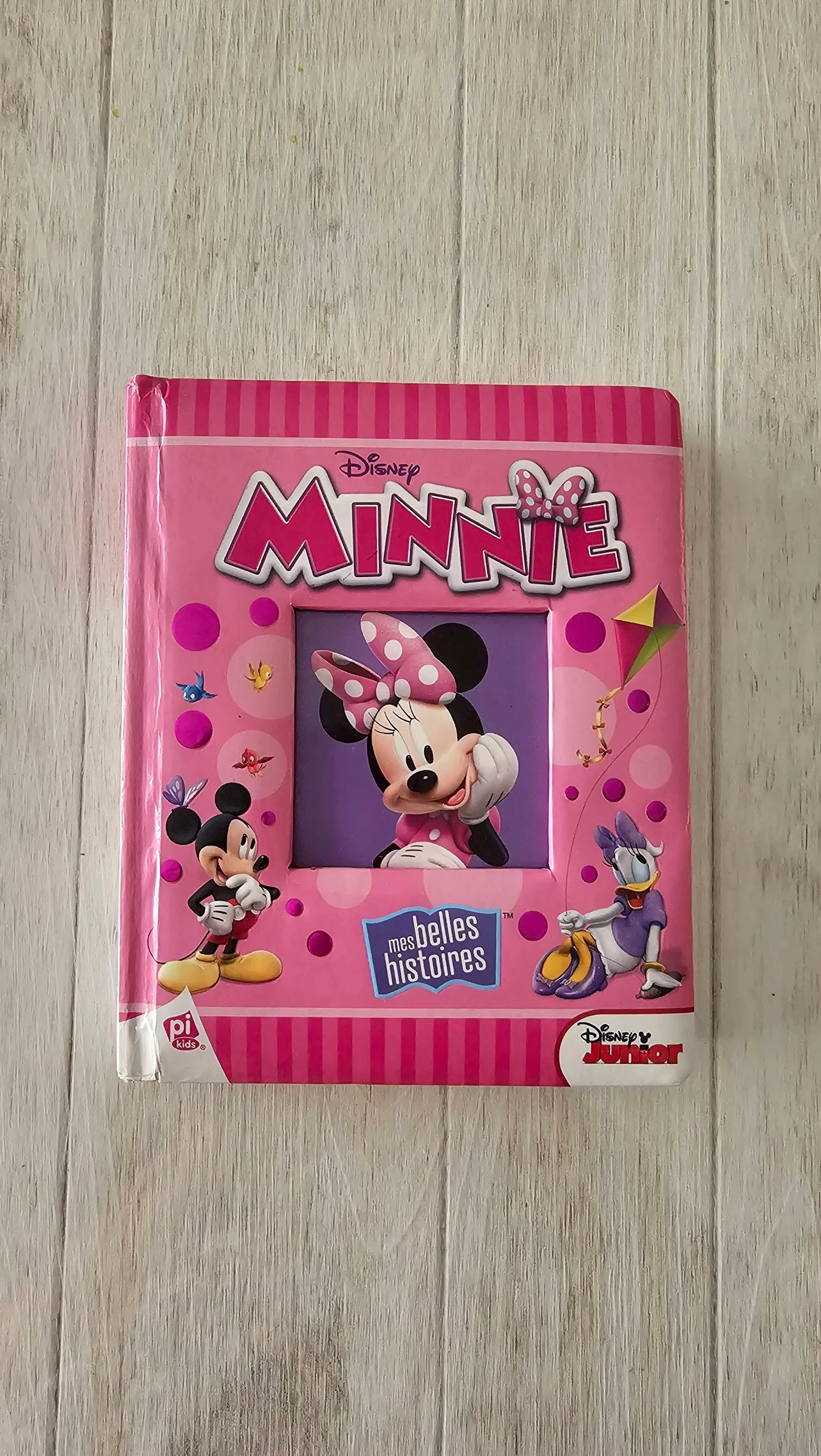 Livre 📙 'Minnie'